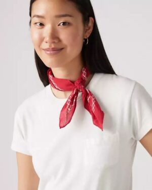 Paisley Bandana