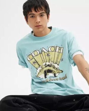 Stegosaurus Relaxed T Shirt In Organic Cotton