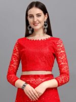 Brasso Net Saree With Blouse