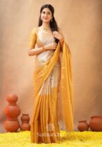 Raga Tissue Saree | Rivella Couture